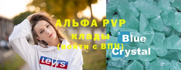 спиды Богородицк