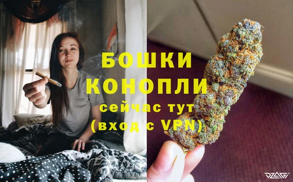 спиды Богородицк
