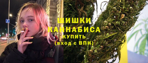 спиды Богородицк
