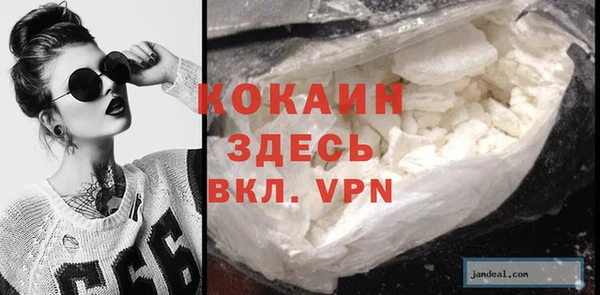 спиды Богородицк
