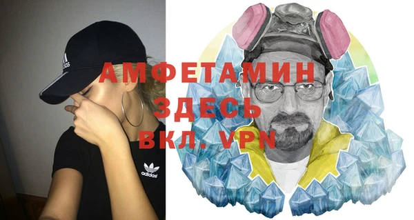 спиды Богородицк